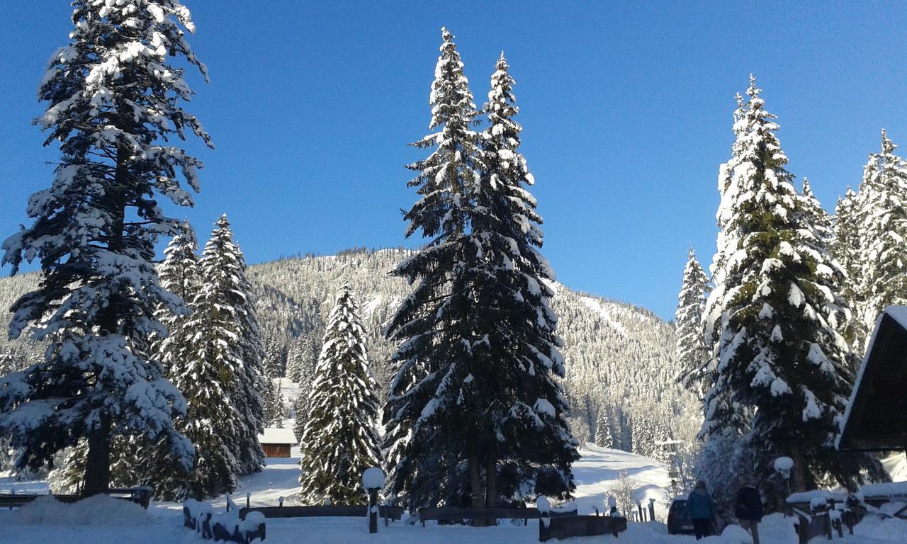 Apartment An Der Traun บาดเอาส์ซี ภายนอก รูปภาพ